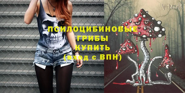 ПСИЛОЦИБИНОВЫЕ ГРИБЫ Балахна